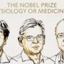Copertina di Nobel per la Medicina all’optogenetica: premiata la scoperta che “accende” la luce sui misteri del cervello