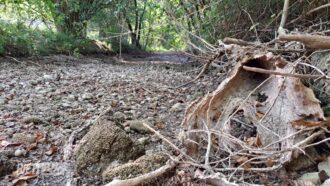 Copertina di Turano, il fiume che scompare sotto la diga: la battaglia sull’acqua per Enel