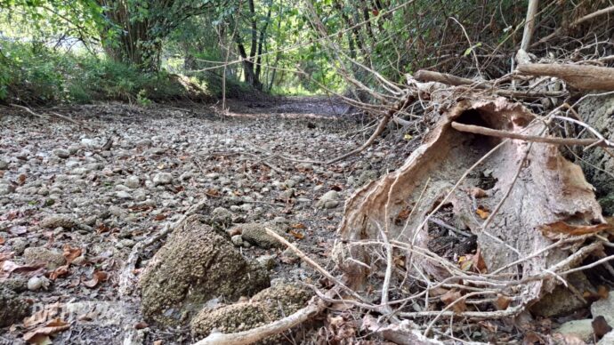Copertina di Turano, il fiume che scompare sotto la diga: la battaglia sull’acqua per Enel