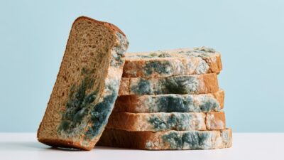 Copertina di Muffa sul cibo, non basta togliere solo la parte verde: quali alimenti vanno buttati interamente e quali possono essere recuperati