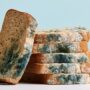 Copertina di Muffa sul cibo, non basta togliere solo la parte verde: quali alimenti vanno buttati interamente e quali possono essere recuperati
