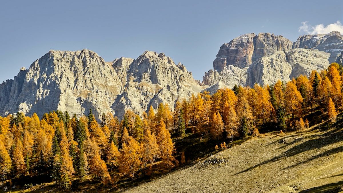 dove andare in autunno in italia dal bramito dei cervi al foliage fino a sagre e terme le gite fuori porta pi249 belle da fare a ottobre da Ilfattoquotidiano.it dove andare in autunno in italia dal bramito dei cervi al foliage fino a sagre e terme le gite fuori porta pi249 belle da fare a ottobre