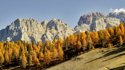 Copertina di Dove andare in autunno in Italia? Dal bramito dei cervi al foliage, fino a sagre e terme: le gite fuori porta più belle da fare a ottobre