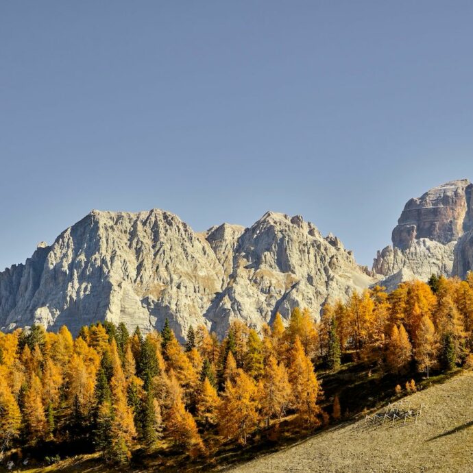 Dove andare in autunno in Italia? Dal bramito dei cervi al foliage, fino a sagre e terme: le gite fuori porta più belle da fare a ottobre