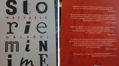 Copertina di Storie minime: le strade di Torino, gli amorevoli sensi, la cucina e l’esistenzialismo nei racconti (di formazione) sottili e graffianti di Raffaele Galardi