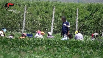 Copertina di Braccianti sfruttati nel Casertano, fino a 14 ore al giorno per 80 centesimi a cassetta: 8 indagati