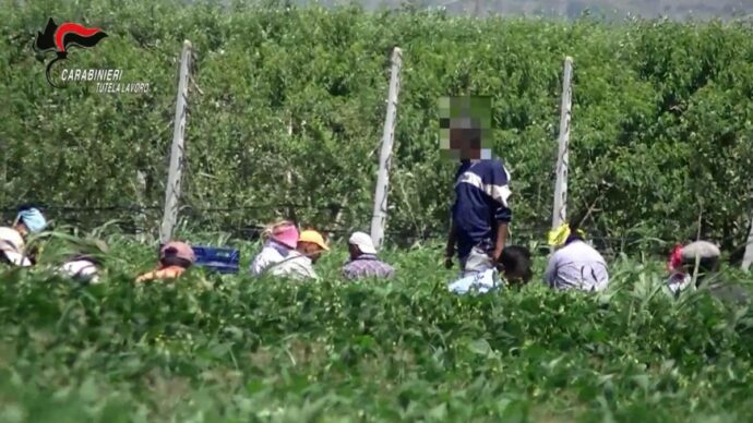 Braccianti sfruttati nel Casertano, fino a 14 ore al giorno per 80 centesimi a cassetta: 8 indagati