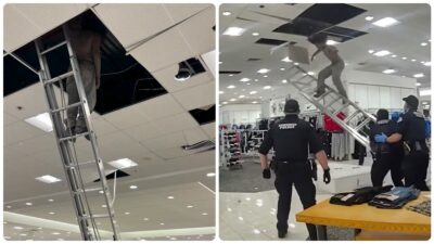 Copertina di “È atterrato sul materasso, si è alzato e ha provato a scappare. Non ha funzionato molto bene”. Ladro tenta la fuga nascondendosi nel controsoffitto, ma cade a terra e viene arrestato dalla polizia