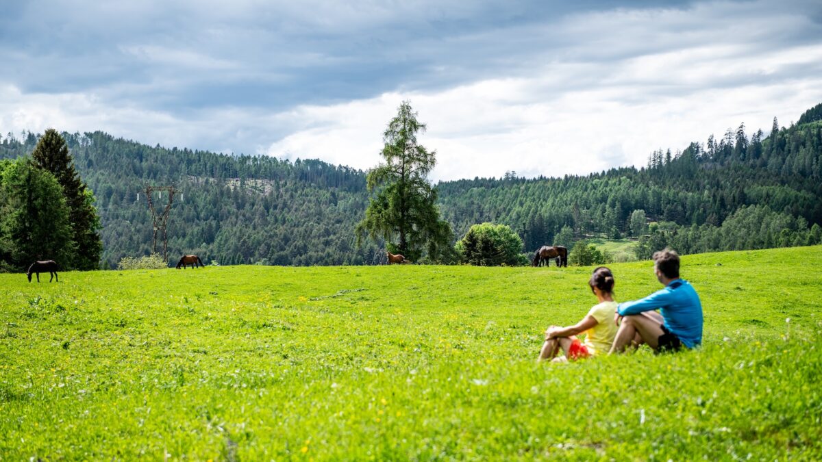 prima si cena pi249 a lungo si vive questo e altri 5 segreti della longevit224 che abbiamo imparato al dolomiti wellness community summit da Ilfattoquotidiano.it prima si cena pi249 a lungo si vive questo e altri 5 segreti della longevit224 che abbiamo imparato al dolomiti wellness community summit