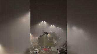 Copertina di Nubifragio a Roma, fulmini nella notte e raffiche di vento: 120 interventi dei vigili del fuoco – Video