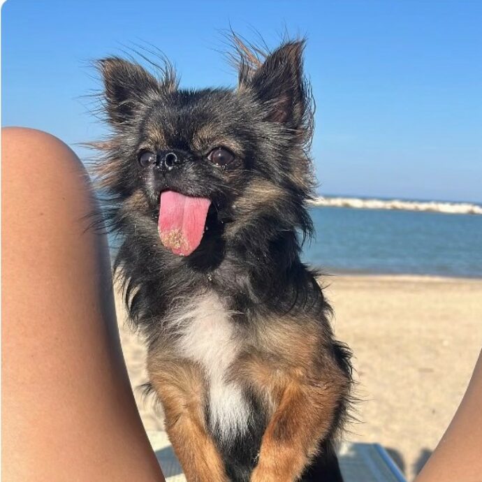 “Non ero pronta a vivere senza di te. Mi sta sanguinando il cuore. Con te muore una parte della mia anima”: Matilde Gioli in lutto per la morte del suo cane Kalel