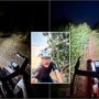 Copertina di “Ho visto un cobra e un pitone, un cane mi ha inseguito. I rumori sono assurdi”: Bottas racconta il viaggio in bici nella giungla verso Singapore