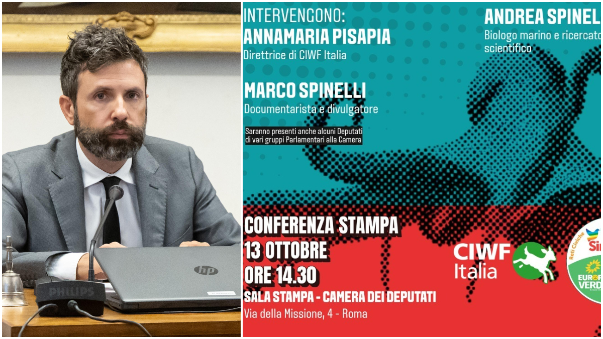 stop agli allevamenti di polpi e tonni rossi la proposta di legge di avs danni incalcolabili ai nostri mari per il profitto da Ilfattoquotidiano.it stop agli allevamenti di polpi e tonni rossi la proposta di legge di avs danni incalcolabili ai nostri mari per il profitto