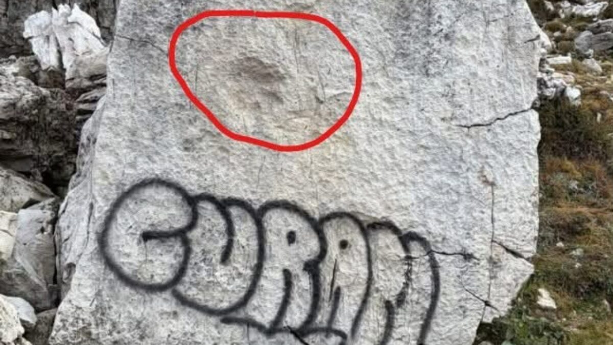 “Su quel sasso c’è l’impronta di una zampa di dinosauro, ora è ridotto così”: vandali imbrattano un fossile con una bomboletta spray alle tre Cime di Lavaredo, la rabbia del Cai