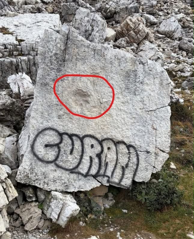 “Su quel sasso c’è l’impronta di una zampa di dinosauro, ora è ridotto così”: vandali imbrattano un fossile con una bomboletta spray alle tre Cime di Lavaredo, la rabbia del Cai