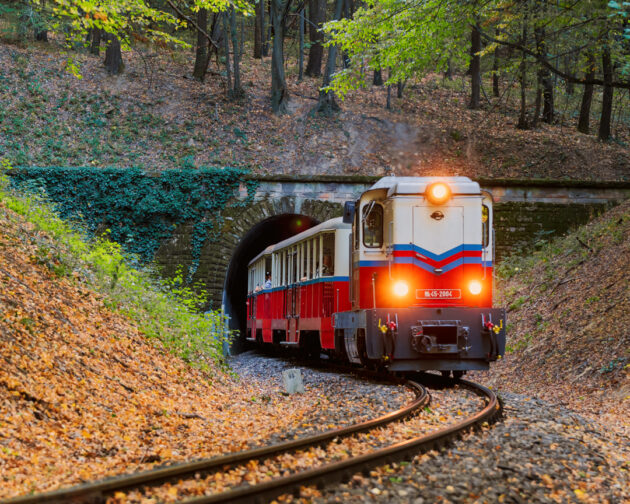 Dove vedere il foliage più bello d’Europa? 7 mete per un viaggio d’autunno tra boschi incantati, festival delle luci, castelli e tradizioni gastronomiche