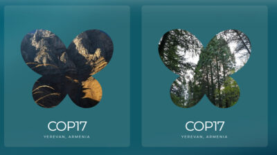 Copertina di Cop17 a Erevan: perché l’Armenia ospita la prossima conferenza Onu sulla biodiversità