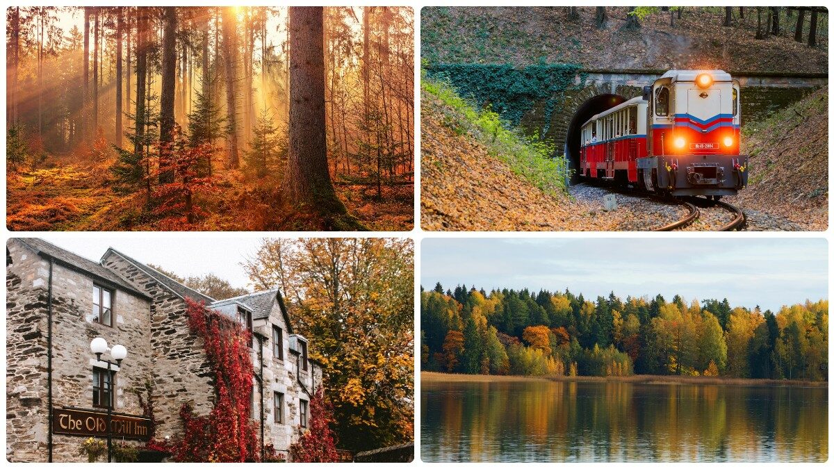 Dove vedere il foliage più bello d’Europa? 7 mete per un viaggio d’autunno tra boschi incantati, festival delle luci, castelli e tradizioni gastronomiche