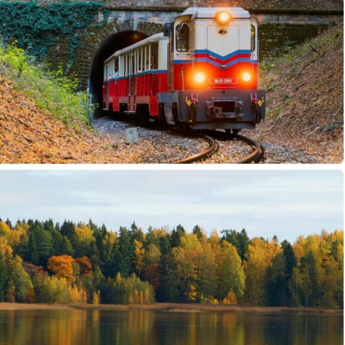 Dove vedere il foliage più bello d’Europa? 7 mete per un viaggio d’autunno tra boschi incantati, festival delle luci, castelli e tradizioni gastronomiche