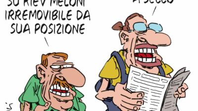Copertina di La vignetta di Franzaroli