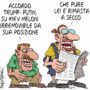 Copertina di La vignetta di Franzaroli