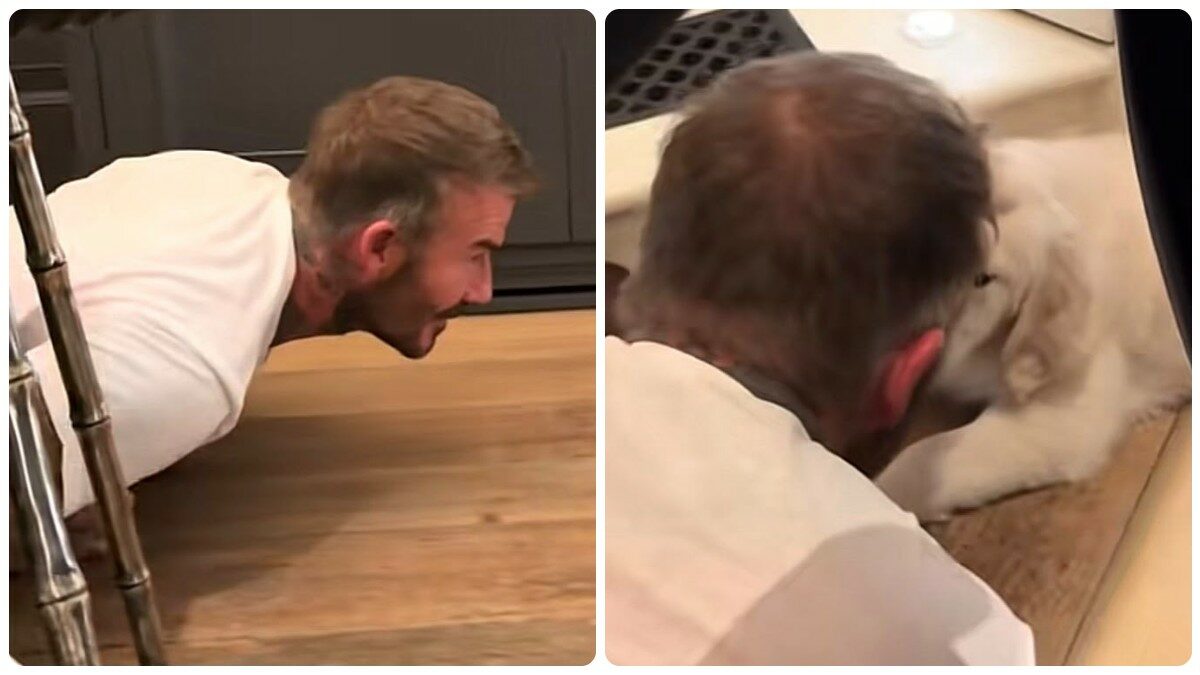 “Tuo padre con il cane che ti ha detto di non prendere”: David Beckham “innamorato” del golden retriever di suo figlio Cruz – VIDEO