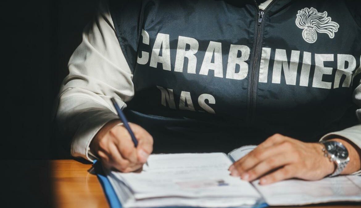 vorrei l8217orsacchiotto con gli occhiali anabolizzanti e droga nascosti nei peluche sequestrate oltre 400mila dosi e 16 indagati da Ilfattoquotidiano.it vorrei l8217orsacchiotto con gli occhiali anabolizzanti e droga nascosti nei peluche sequestrate oltre 400mila dosi e 16 indagati