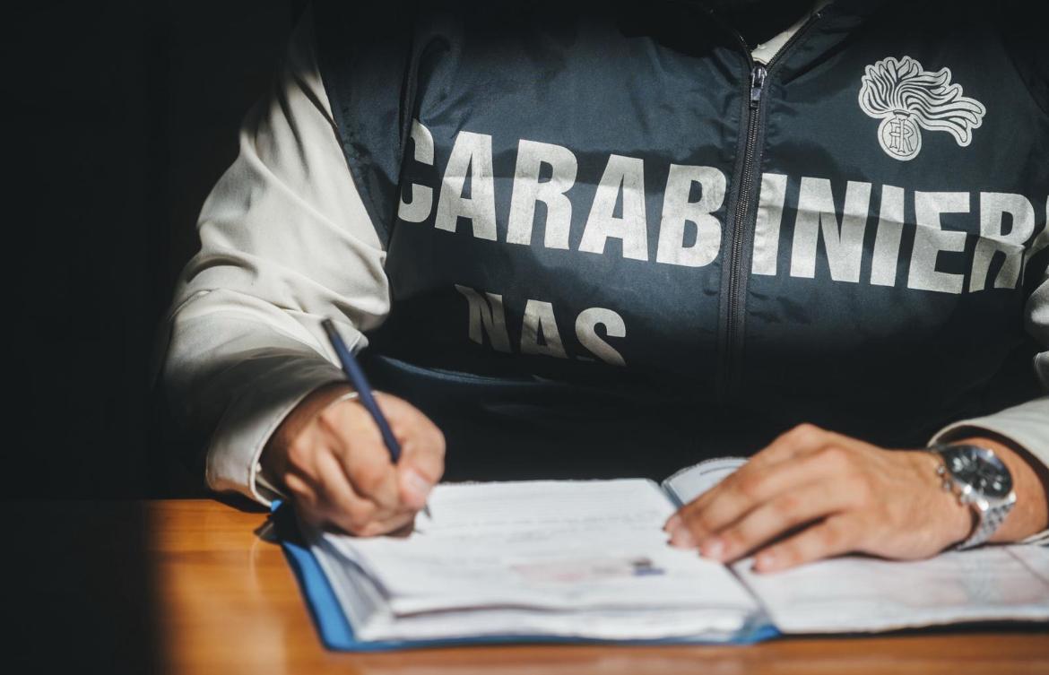 “Vorrei l’orsacchiotto con gli occhiali”, anabolizzanti e droga nascosti nei peluche: sequestrate oltre 400mila dosi e 16 indagati