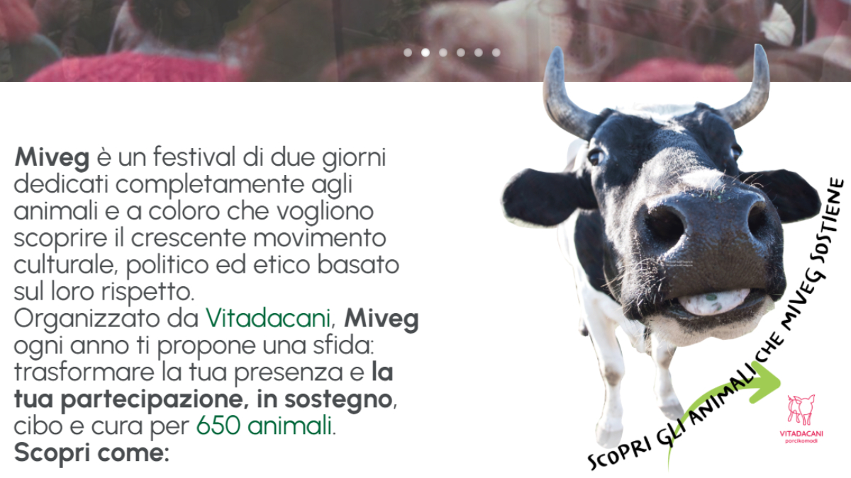 torna miveg a milano due giorni di festival vegan tra cibo santuari e attivismo da Ilfattoquotidiano.it torna miveg a milano due giorni di festival vegan tra cibo santuari e attivismo