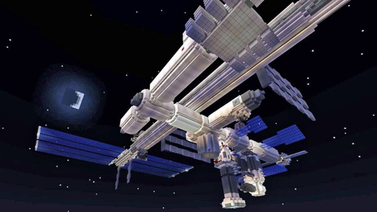 cosa ci fanno alghe e gamberetti nello spazio un piccolo ecosistema in viaggio verso il futuro da Ilfattoquotidiano.it cosa ci fanno alghe e gamberetti nello spazio un piccolo ecosistema in viaggio verso il futuro