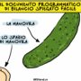 Copertina di La manovra spiegata facile
