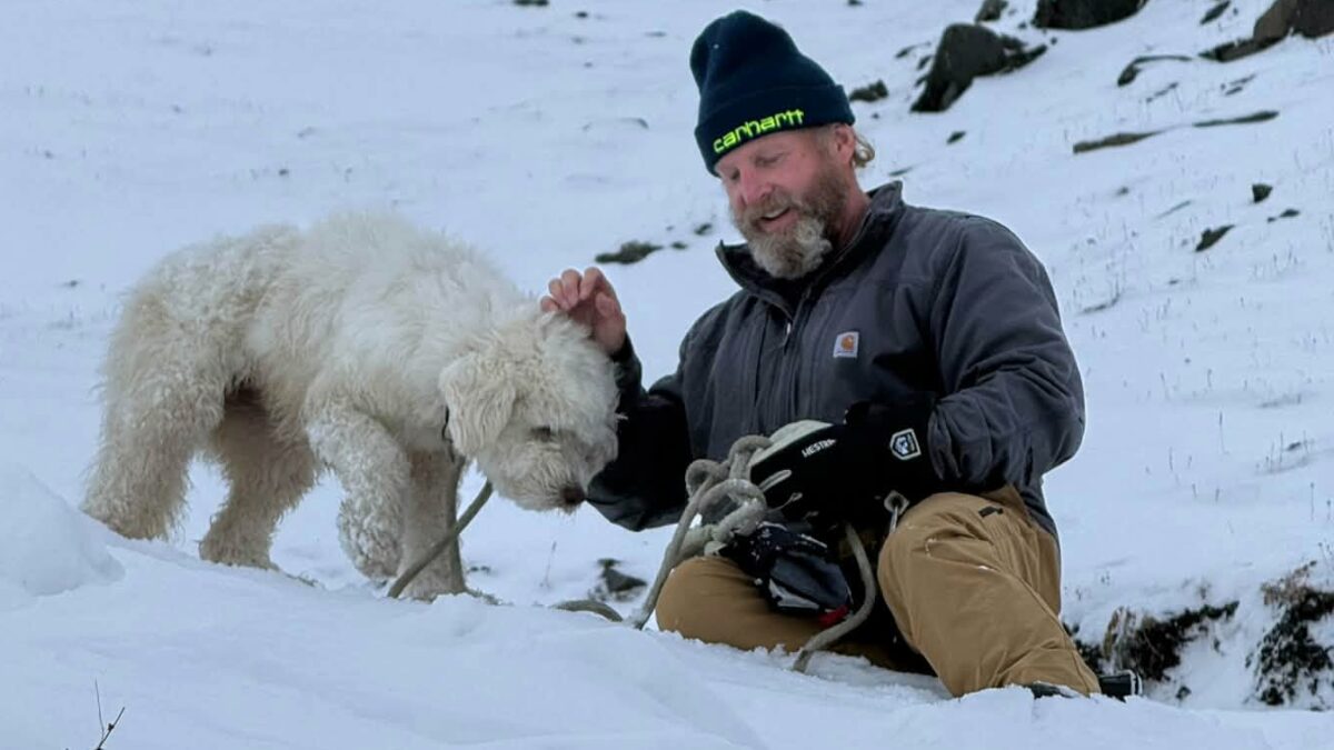era seduta vigile e sembrava illesa mentre forse si chiedeva cosa fosse tutto quel trambusto per la valanga dopo 50 ore ritrovata in alaska una cagnolina dispersa da Ilfattoquotidiano.it era seduta vigile e sembrava illesa mentre forse si chiedeva cosa fosse tutto quel trambusto per la valanga dopo 50 ore ritrovata in alaska una cagnolina dispersa