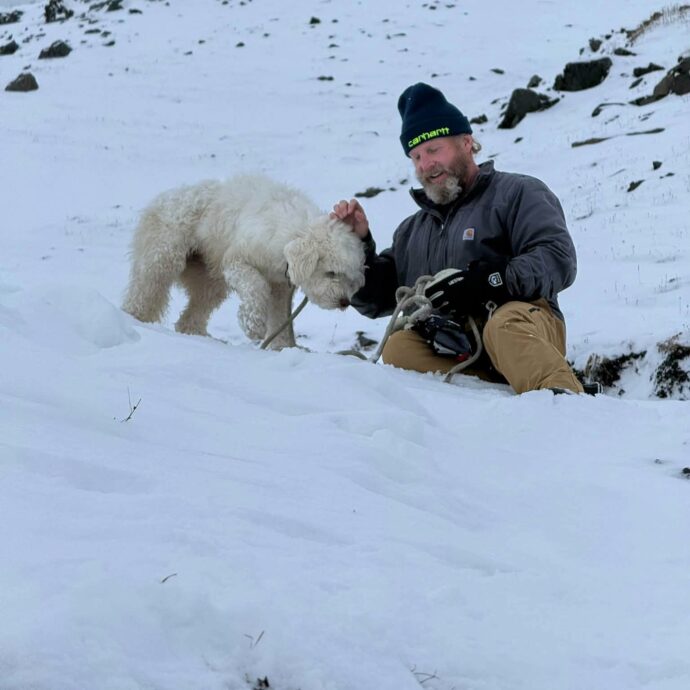 “Era seduta, vigile, e sembrava illesa, mentre forse si chiedeva cosa fosse tutto quel trambusto per la valanga”: dopo 50 ore ritrovata in Alaska una cagnolina dispersa