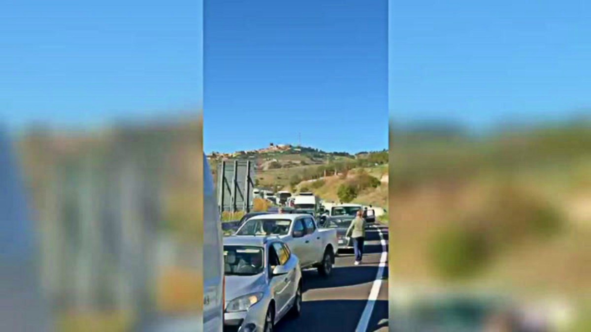 caro carburante in sicilia 232 iniziato lo sciopero degli autotrasportatori da Ilfattoquotidiano.it caro carburante in sicilia 232 iniziato lo sciopero degli autotrasportatori