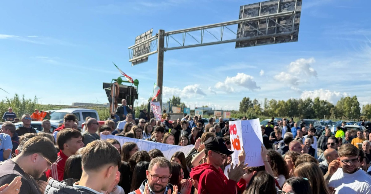 il caro gasolio ferma i camion il pane sta finendo e il contadino foggiano torna all8217asino la protesta bussa a roma da Ilfattoquotidiano.it il caro gasolio ferma i camion il pane sta finendo e il contadino foggiano torna all8217asino la protesta bussa a roma