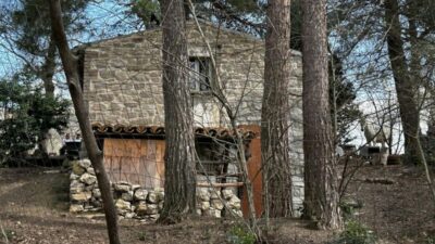 Copertina di Famiglia nel bosco, i tre figli tornano a Palmoli per il primo fine settimana con i genitori dopo 11 mesi