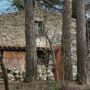 Copertina di Famiglia nel bosco, i tre figli tornano a Palmoli per il primo fine settimana con i genitori dopo 11 mesi