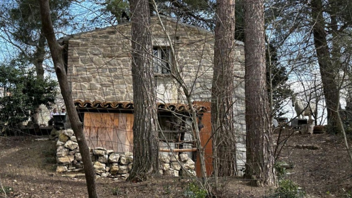famiglia nel bosco i tre figli tornano a palmoli per il primo fine settimana con i genitori dopo 11 mesi da Ilfattoquotidiano.it famiglia nel bosco i tre figli tornano a palmoli per il primo fine settimana con i genitori dopo 11 mesi