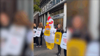 Copertina di “Ecco il vero prezzo del pollo”, protesta di Essere Animali di fronte a un supermercato Esselunga