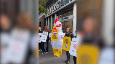 Copertina di “Ecco il vero prezzo del pollo”, protesta di Essere Animali di fronte a un supermercato Esselunga