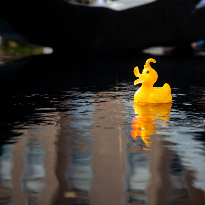 L’Italia vince i Mondiali di papere galleggianti battendo Francia e Moldavia: ecco cos’è e come funziona il World Duck Race Championship