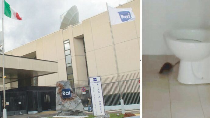 Topi, zanzare,  formiche e altri animali Rai: la palazzina del Tg3 a Roma è una giungla