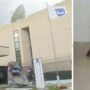 Copertina di Topi e altre bestie  al Tg3: la palazzina  Rai è una giungla 