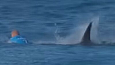 Copertina di “Uno squalo mi si scagliò contro, iniziai a colpirlo con calci e pugni ma mi scrollò via come una foglia”: il surfista Flamming racconta la morte sfiorata in diretta tv