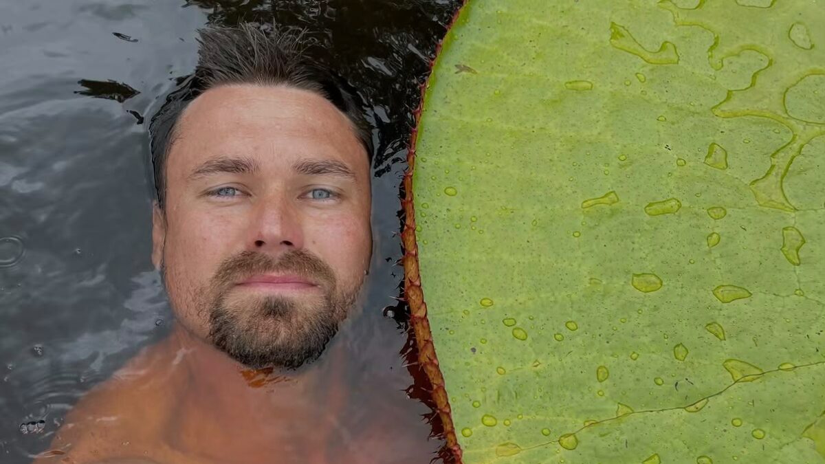questa 232 una di quelle storie straordinarie in cui si fa un8217incredibile scoperta per caso vede sui social una foto con una ninfea gigante e realizza che si tratta di una nuova specie da Ilfattoquotidiano.it questa 232 una di quelle storie straordinarie in cui si fa un8217incredibile scoperta per caso vede sui social una foto con una ninfea gigante e realizza che si tratta di una nuova specie