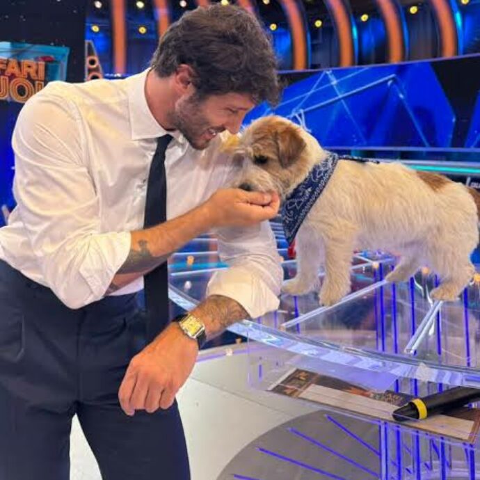 “Stefano De Martino si è chinato, ha spalancato le braccia e lui gli è saltato addosso riempendolo di bacetti. Si sono subito voluti bene, ha conquistato il suo cuore”: parla la manager del cane Tommasino