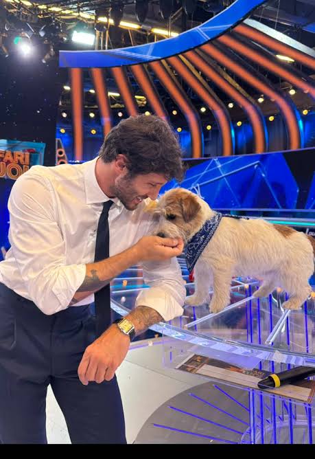 stefano de martino si 232 chinato ha spalancato le braccia e lui gli 232 saltato addosso riempendolo di bacetti si sono subito voluti bene ha conquistato il suo cuore parla la manager del cane tommasino da Ilfattoquotidiano.it stefano de martino si 232 chinato ha spalancato le braccia e lui gli 232 saltato addosso riempendolo di bacetti si sono subito voluti bene ha conquistato il suo cuore parla la manager del cane tommasino