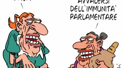 Copertina di La vignetta di Franzaroli