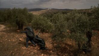 Copertina di Due italiani detenuti per un giorno in Cisgiordania con l’accusa di terrorismo: “Io bendato e picchiato dalla polizia israeliana”