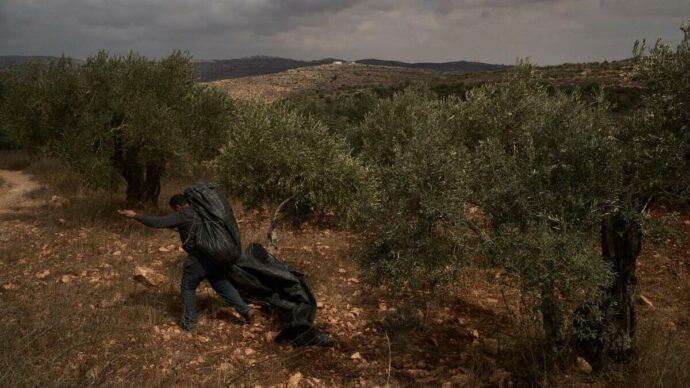 Due italiani detenuti per un giorno in Cisgiordania con l’accusa di terrorismo: “Io bendato e picchiato dalla polizia israeliana”